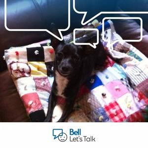 Meet your Posher, Kari